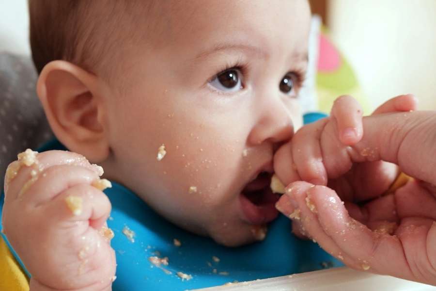 Baby tasting food with hands while being fed during Start Solid Foods phase