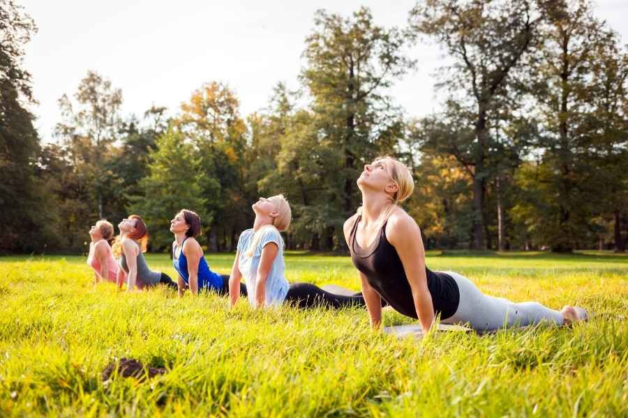 A group of women practice yoga outdoors on green grass, performing the cobra pose in a sunny park surrounded by trees.